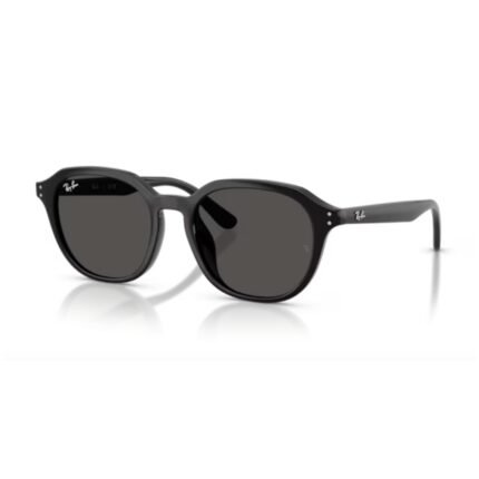oculos de sol rayban 4459D 901/87