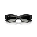 OCULOS DE SOL RAYBAN 4430 6677/11